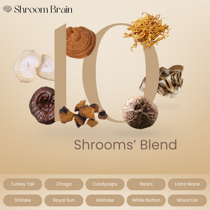 ShroomBrain+ | Clarity Mushroom Blend